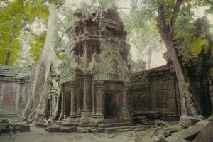 Angkor 5 Tree Building TCP 1024